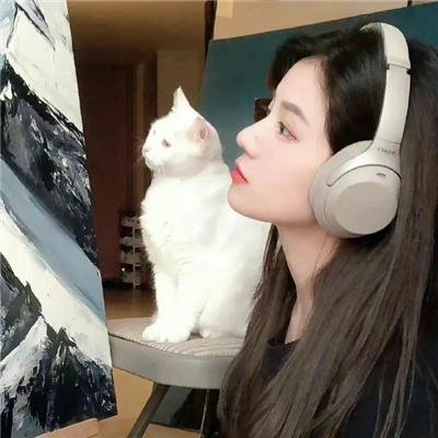 萌犬流浪记